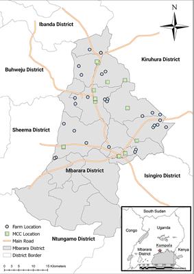 Structure and milk hygiene of dairy cooperative value chains in an intensive production area of Uganda—A bottleneck of intervention
